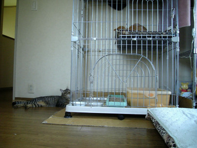 nukovsnuko_0529.jpg