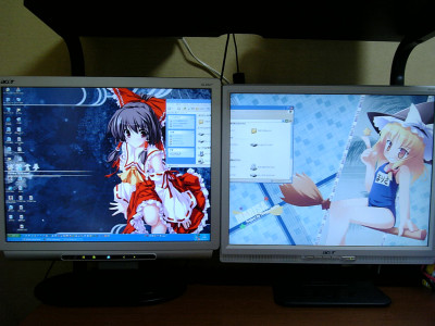dual_mon0707.jpg