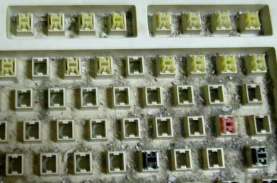key3_0122.jpg